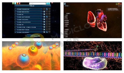 1521612330887658.jpg 圖3_副本.jpg