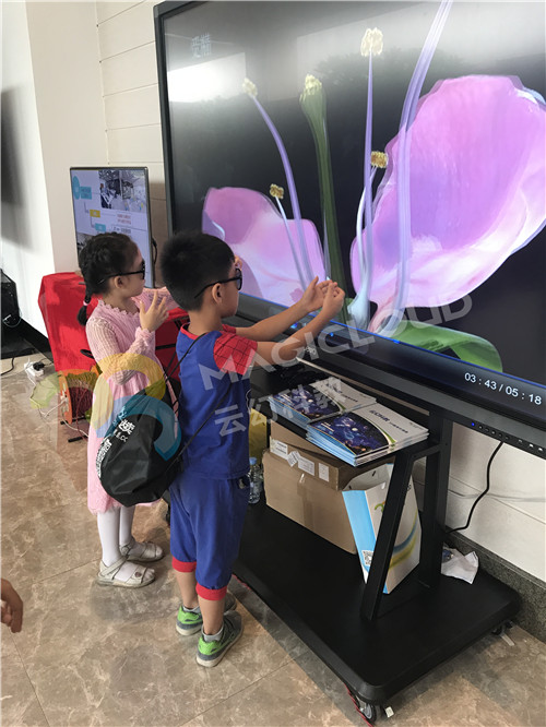 1522121281425393.jpg 13_副本1.jpg