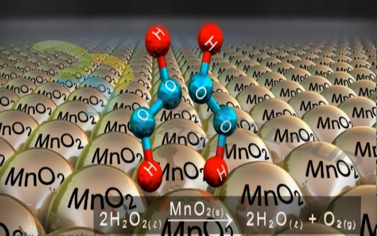 1522310018290765.jpg 4.jpg