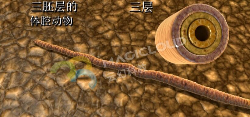 1522310693653700.jpg QQ截圖20180329160259.jpg