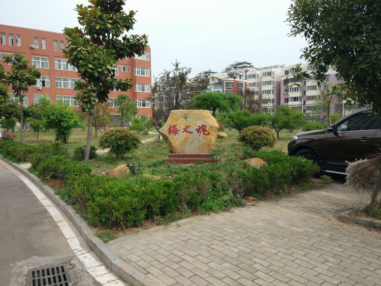 1530089794124274.jpg 5.jpg