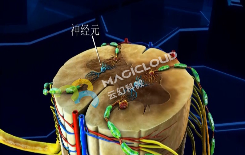 1531876968545140.jpg 1531876968545140.jpg