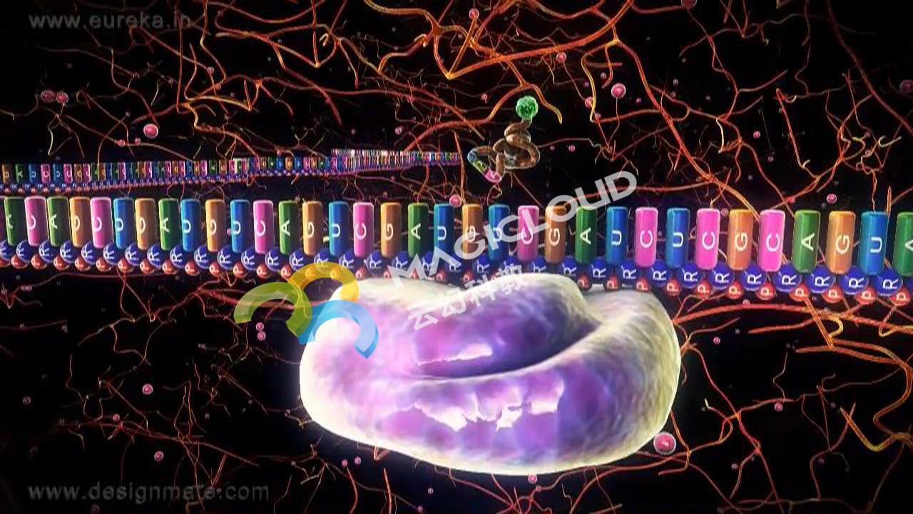 1533172203375849.jpg 1.jpg