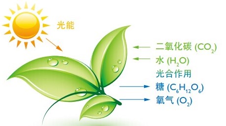 1536197039635877.jpg 2.jpg