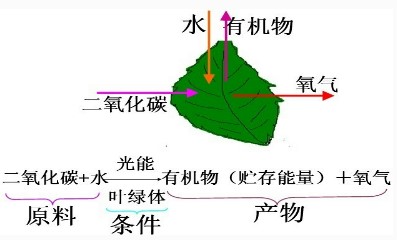 1536197053587385.jpg 3.jpg