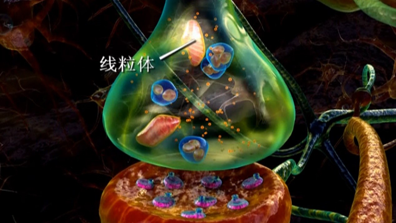 1536801432943127.jpg 1536801432943127.jpg