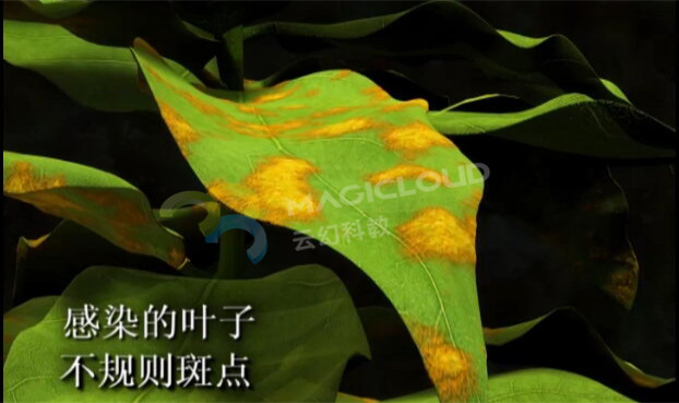 1595810273485006.jpg 2_副本.jpg