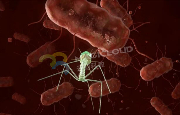 1595810309643057.jpg 4_副本.jpg