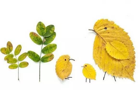 1596156697655155.jpeg 4.jpeg