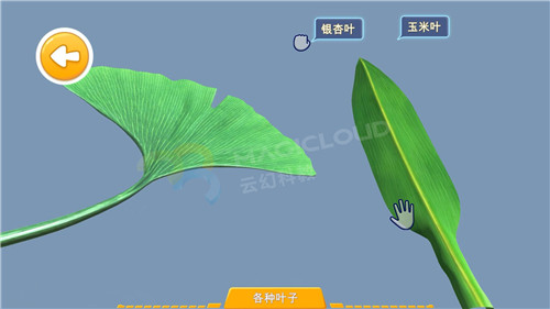 1596156783272013.jpg 9_副本.jpg