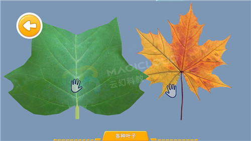 1596156796220651.jpg 10_副本.jpg