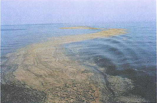 1597366845317115.jpg 1597366845317115.jpg