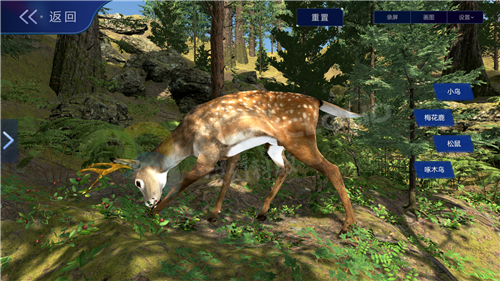 1618798217545616.png 10_副本.png