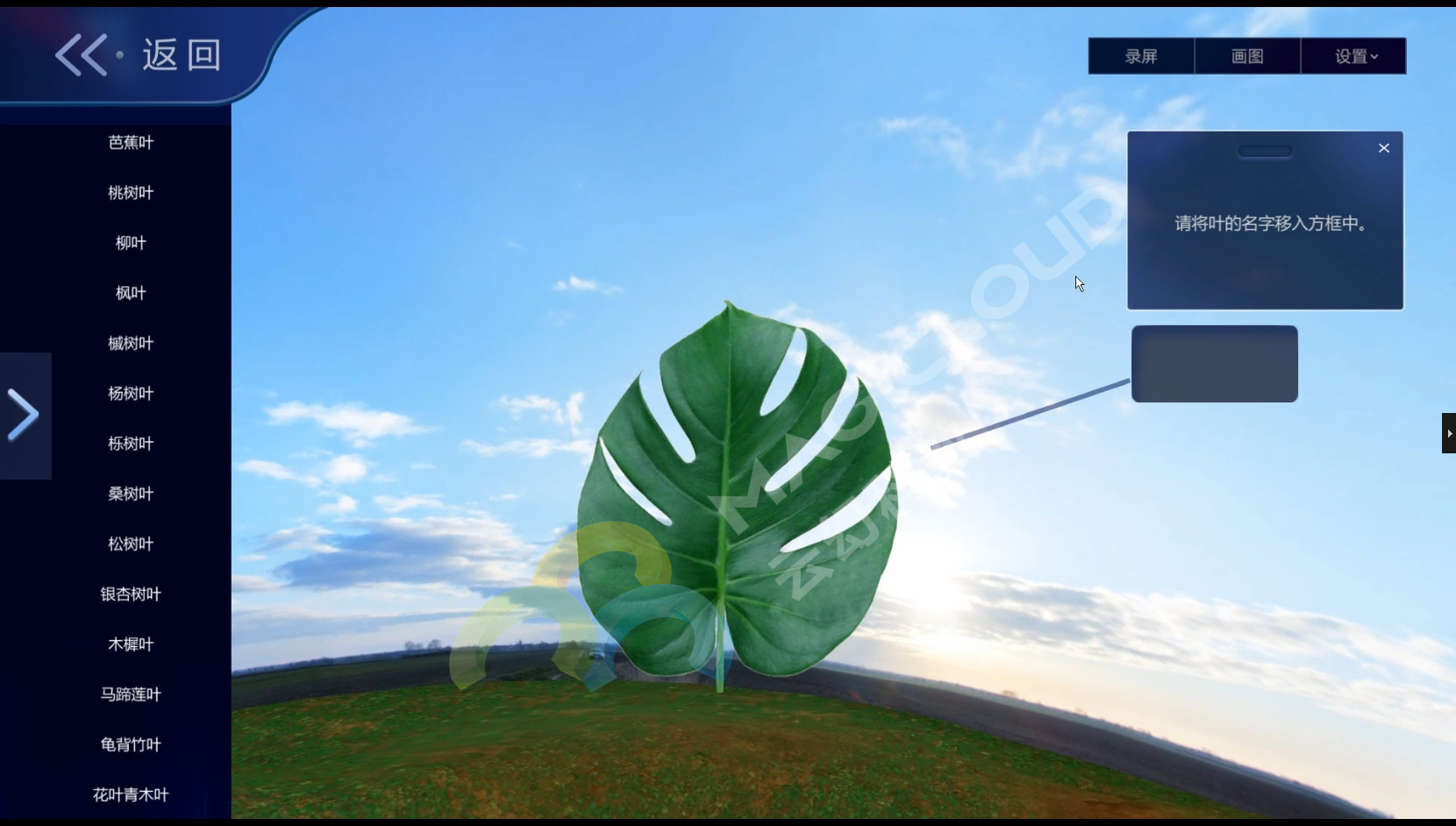 1765445363215759.jpg 1765445363215759.jpg